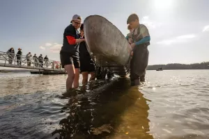 students lift a concrete canoe into the water