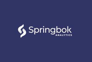 Springbok Analytics