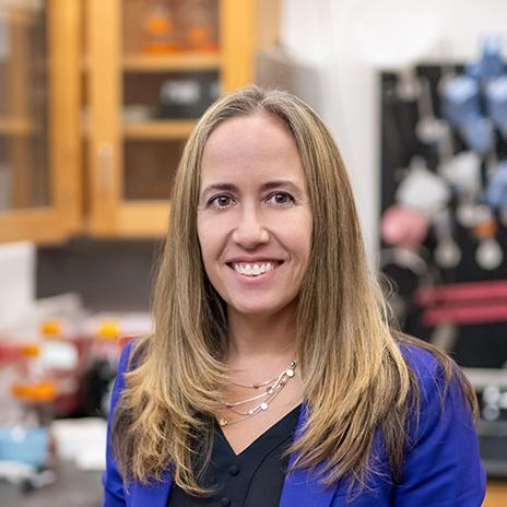 Professor Silvia Blemker, UVA Biomedical Engineering