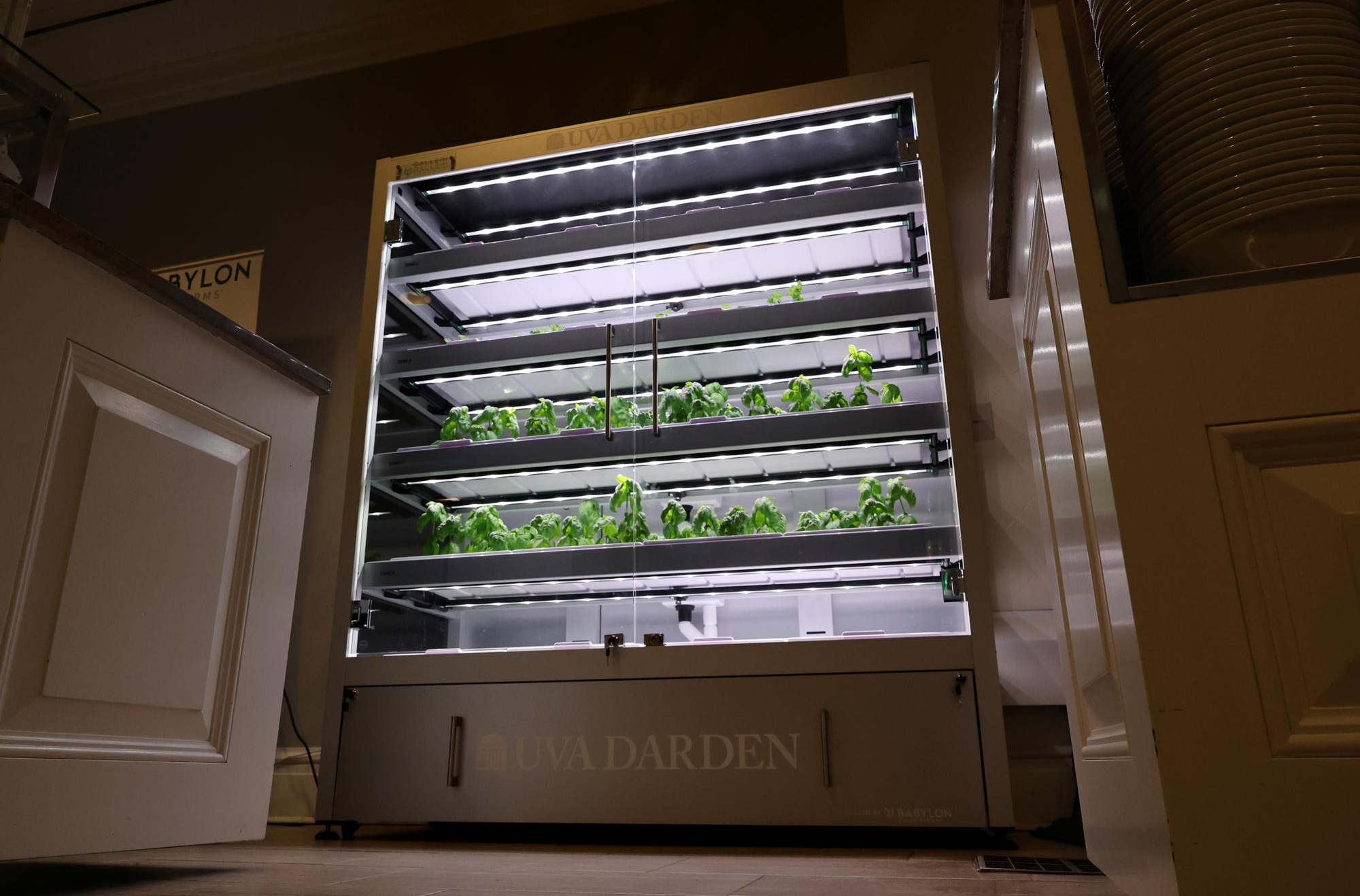 Photo of a Babylon Farms Micro Farm case with plants growing inside