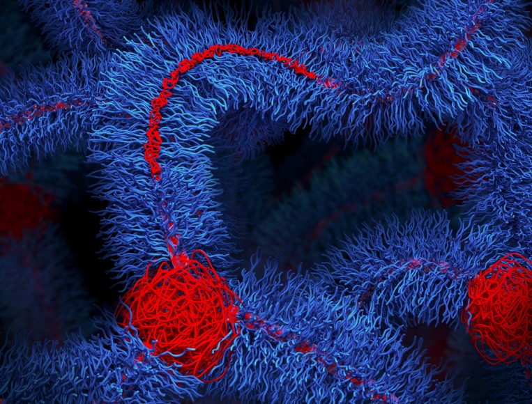 An illustration of bottlebrush polymers 