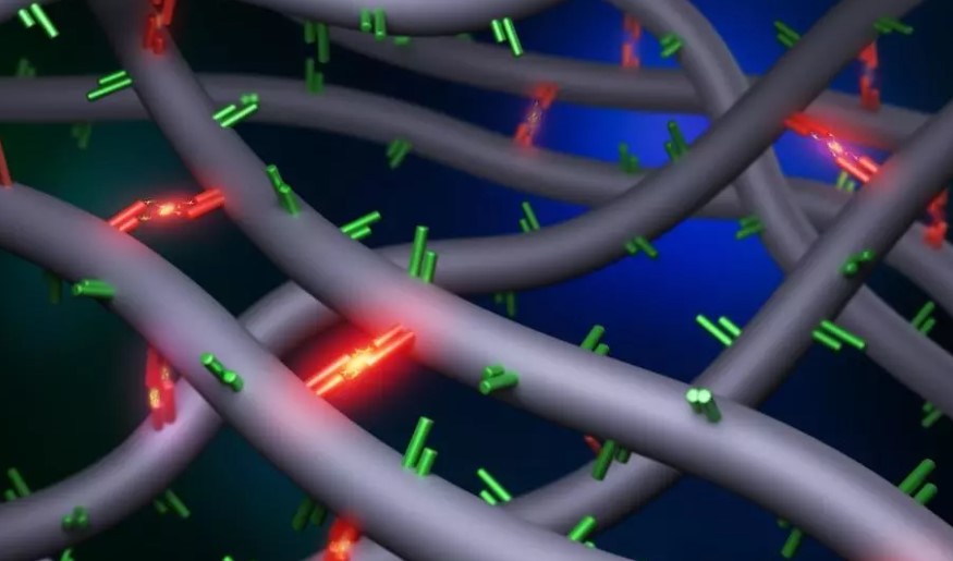 This illustration accompanying the Cai team’s paper in Physical Review Letters is a 3D rendering illustrating two monomers forming a reversible double-hydrogen bond that slows down polymer movement without creating an elastic network.