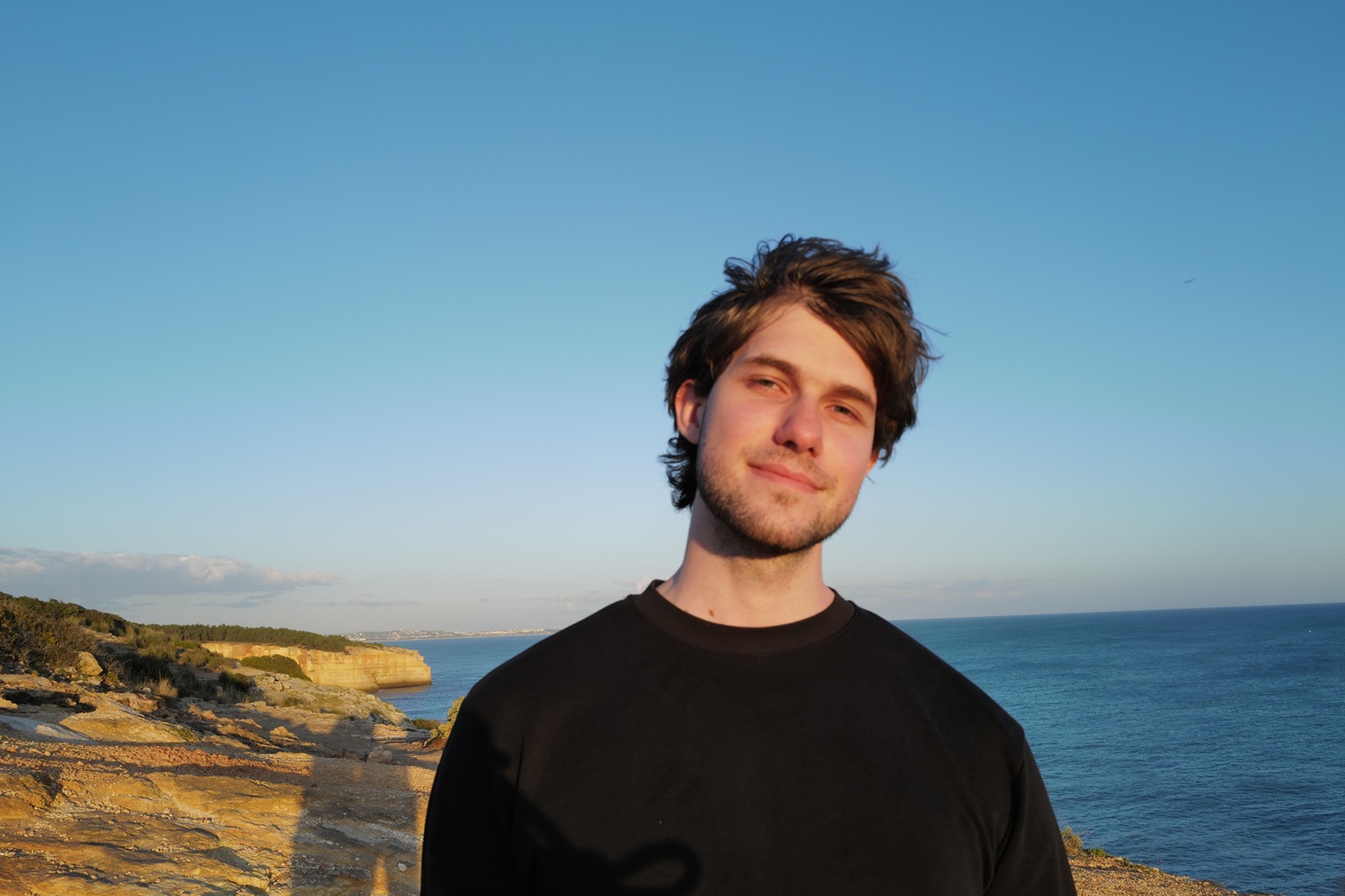 Michael Cardei