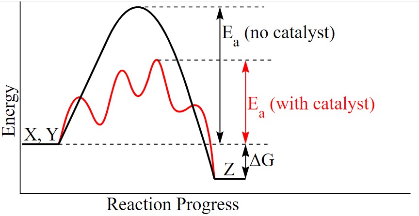 Catalysis reaction progress chart