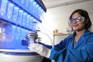Israt Jahan Duti, a Ph.D. student in chemical engineering, works in assistant professor Rachel Letteri’s lab.