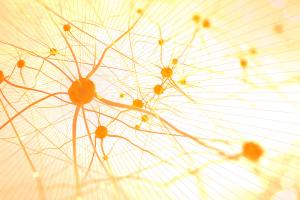 Photo illustration of neurons