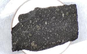 Thick Section of Murchison Meteorite