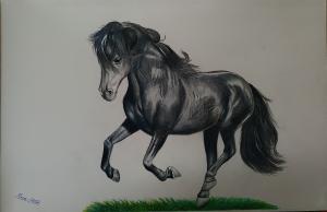 horse