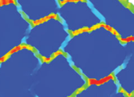 ABM model of muscle cross-section