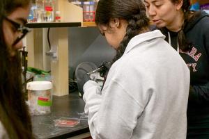 A Buford Middle School student uses a spatula to pick up a hydrogel in a UVA biomedical engineering lab while a classmate and UVA graduate student watch.