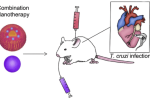 graphical abstract 