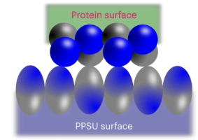 ppsu 