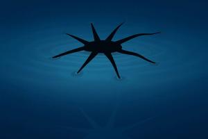 Rendering of a soft robot prototype that mimics water striders