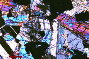micrograph from UVA NMCF