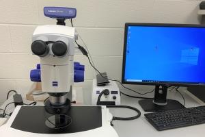 Zeiss Discovery Stereomicroscope