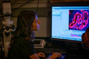 Graduate student in profile looking at cell images on a computer screen