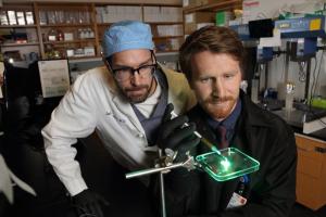 From left, James Daniero, MD, Associate Professor of Otolaryngology, Head and Neck Surgery at UVA Health and Donald Griffin, PhD, Assistant Professor of Biomedical Engineering at the University of Virginia.