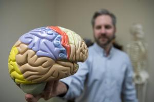 Prof. Matthew Panzer holding a plastic model of a brain