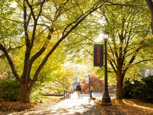 Walking path surrounded by trees with a lightpole and banner reading "Engineering"