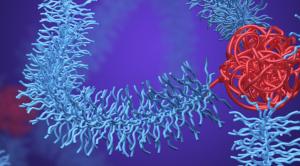 Color illustration of bottlebrush polymers
