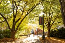 A student walks below trees in between two buildings at UVA Engineering