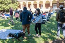 Students chat at department picnic