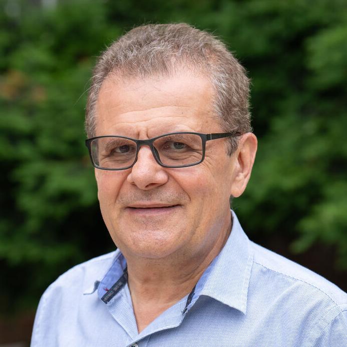 Mircea Stan headshot