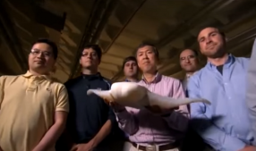 Group of researches posing for a photograph and holding a manta ray