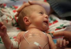 Newborn baby in incubator