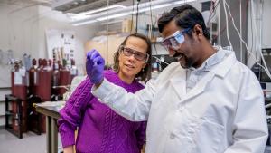 Elizabeth J. Opila views a sample with a graduate student